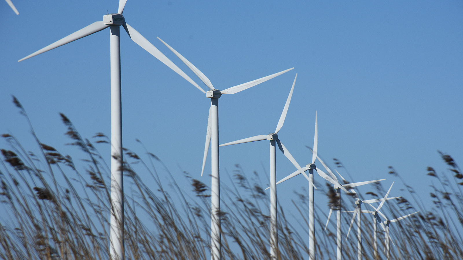 windmolens-met-riet.jpg